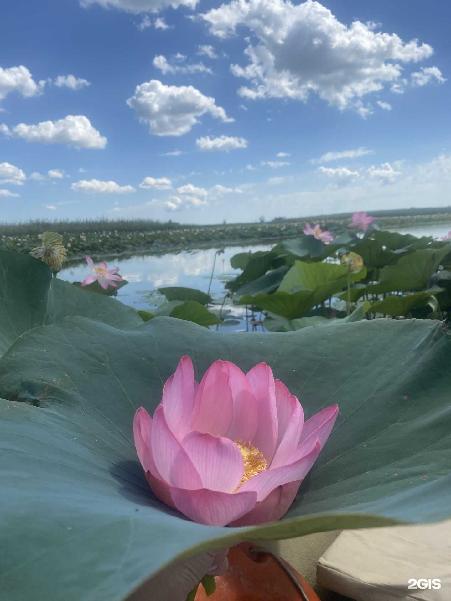 Отзывы на компанию Спутник-Астрахань в г. Астрахань c фото