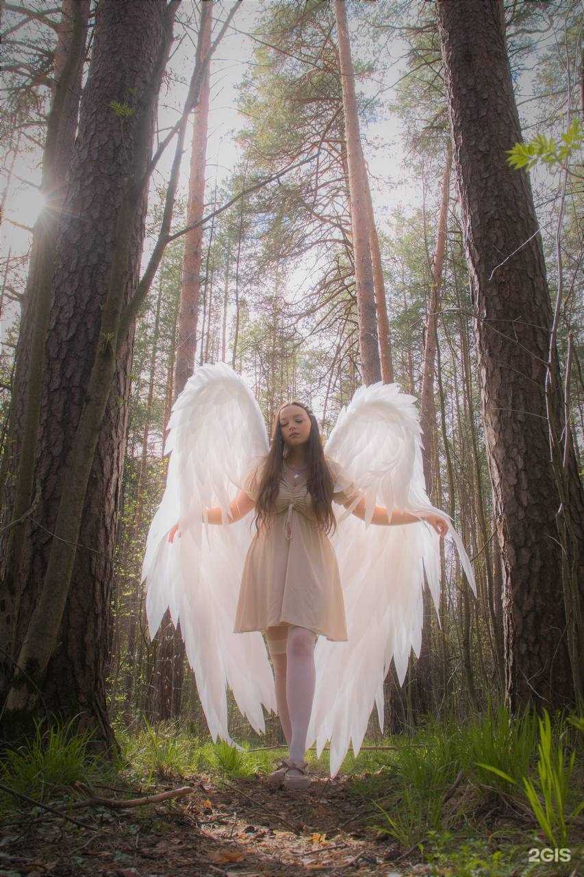 Отзывы на компанию Провокация в г. Пермь c фото