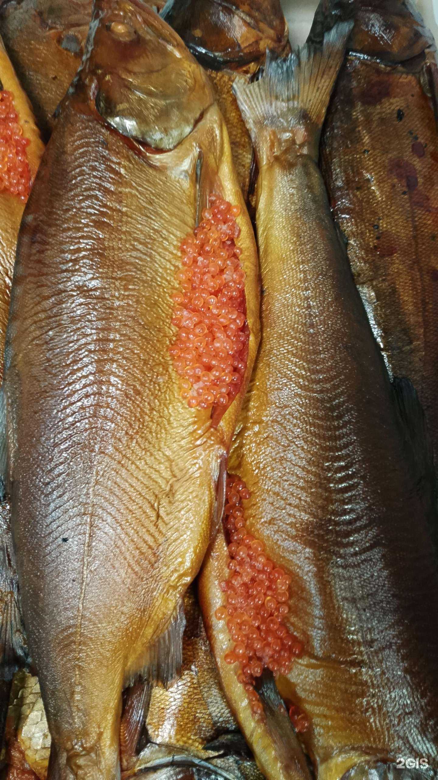 Отзывы на компанию Магазин рыбы и мяса в г. Чебоксары c фото