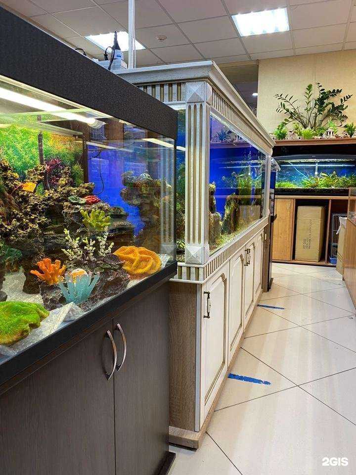 Отзывы на компанию Аквариум в Брянске c фото