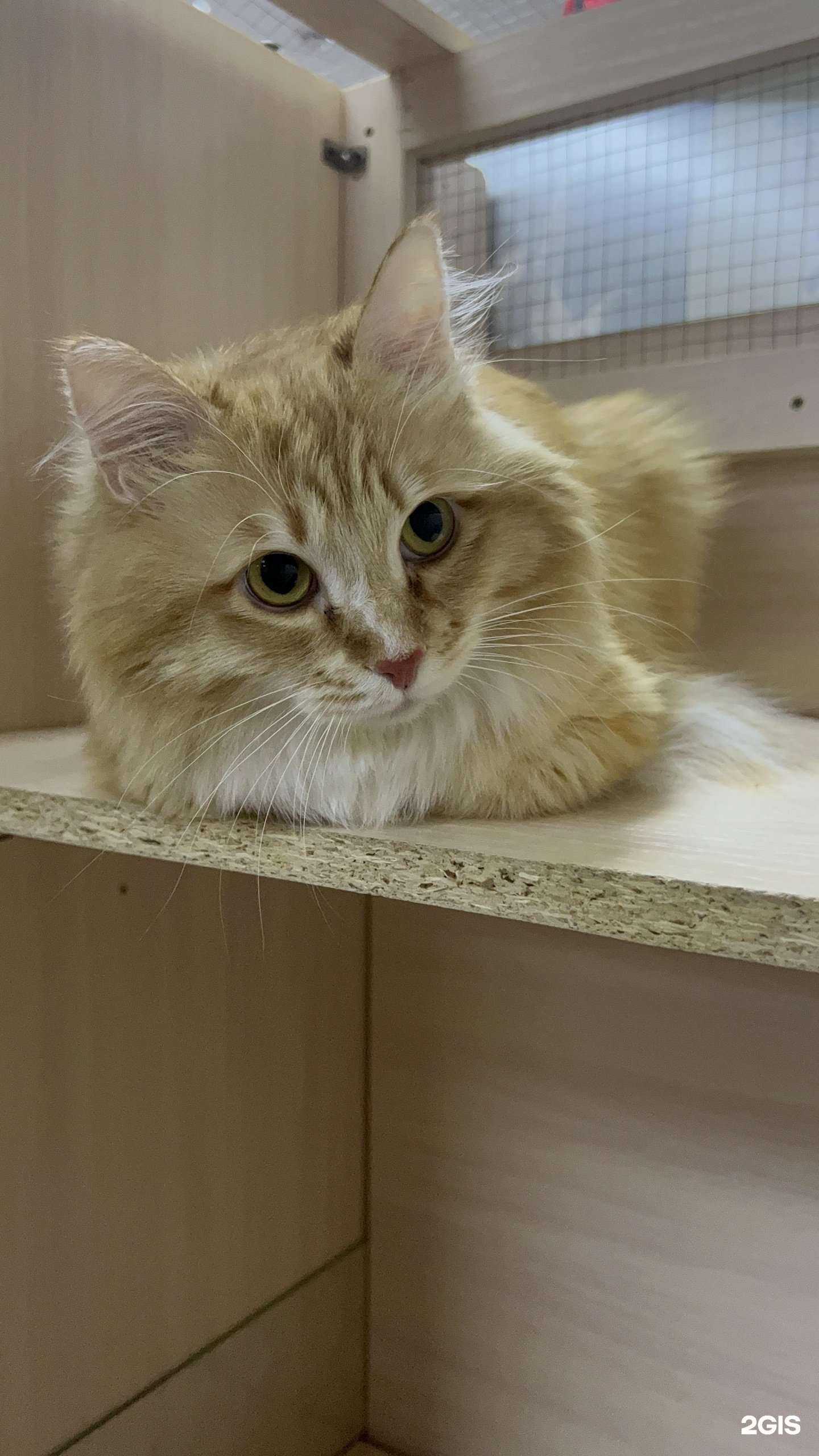 Отзывы на компанию Муротель в Хабаровске c фото