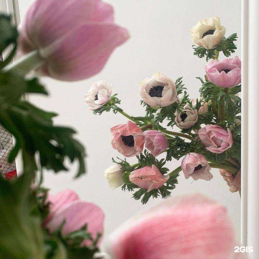 Отзывы на компанию Гипноз в Волгограде c фото