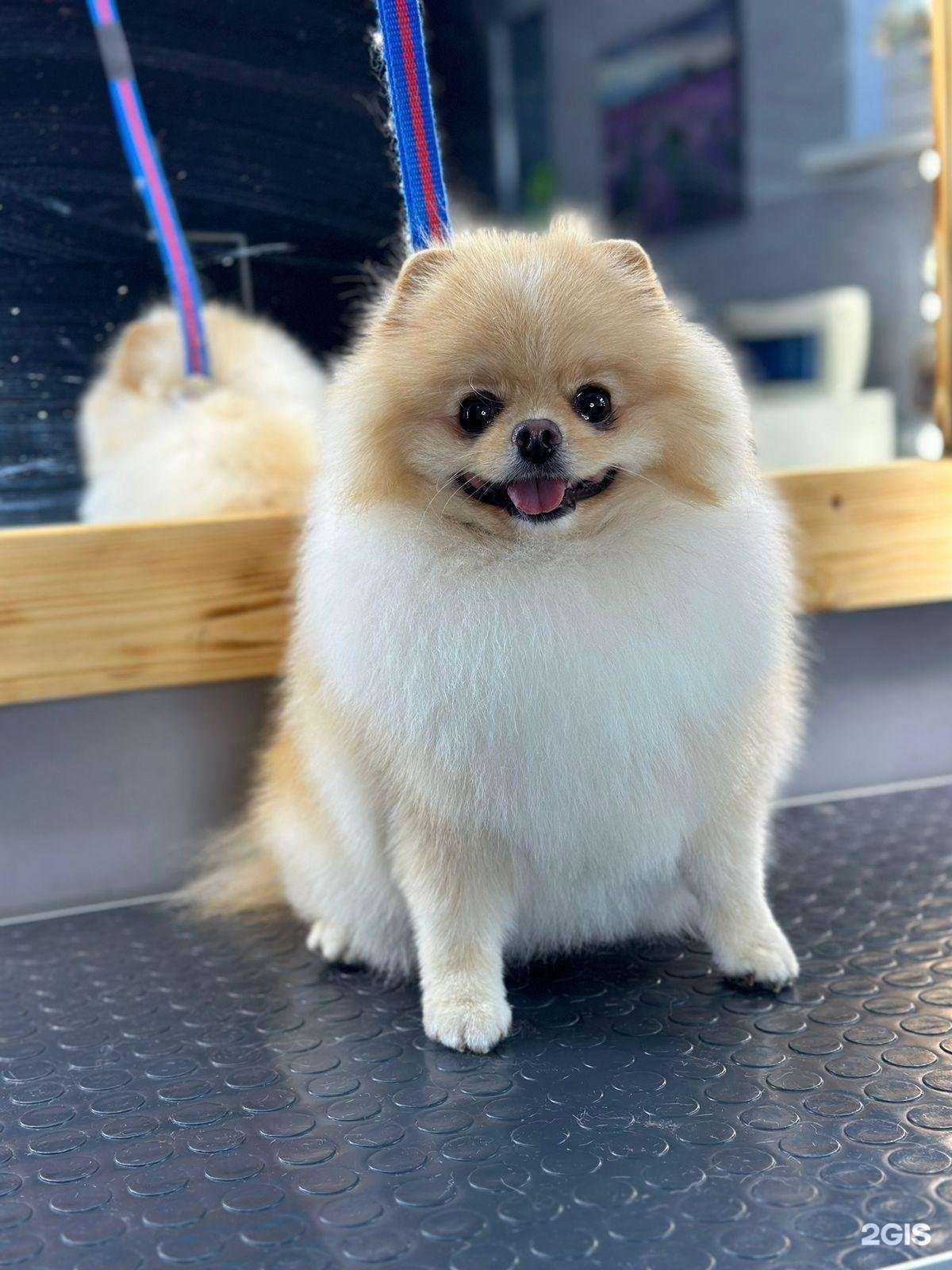 Отзывы на компанию Маскот в г. Краснодар c фото