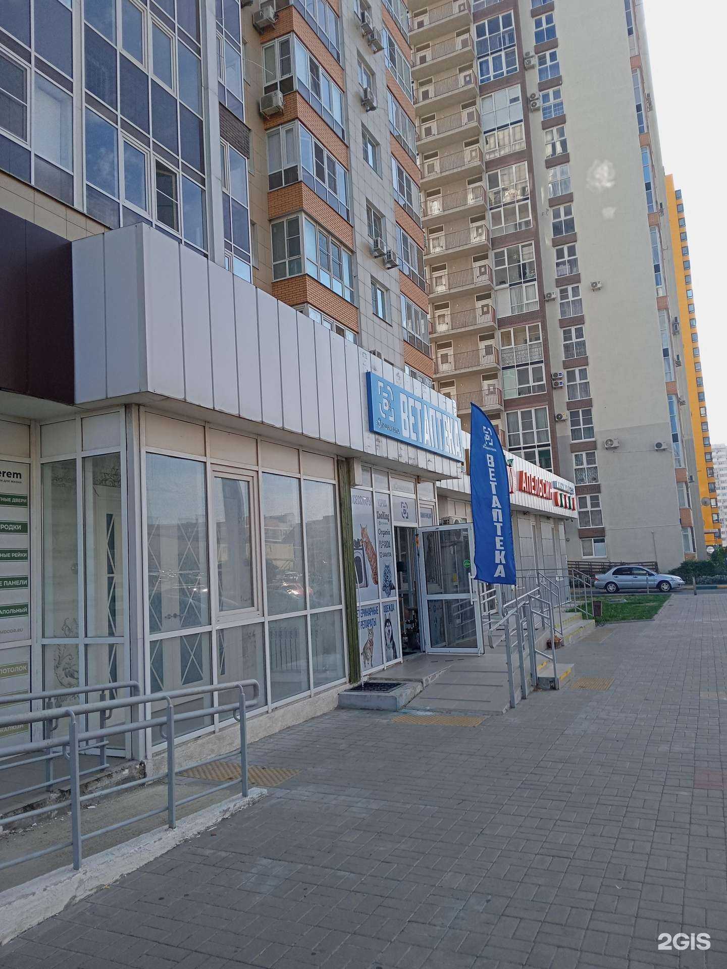 Отзывы на компанию Большая лапа в г. Новороссийск c фото