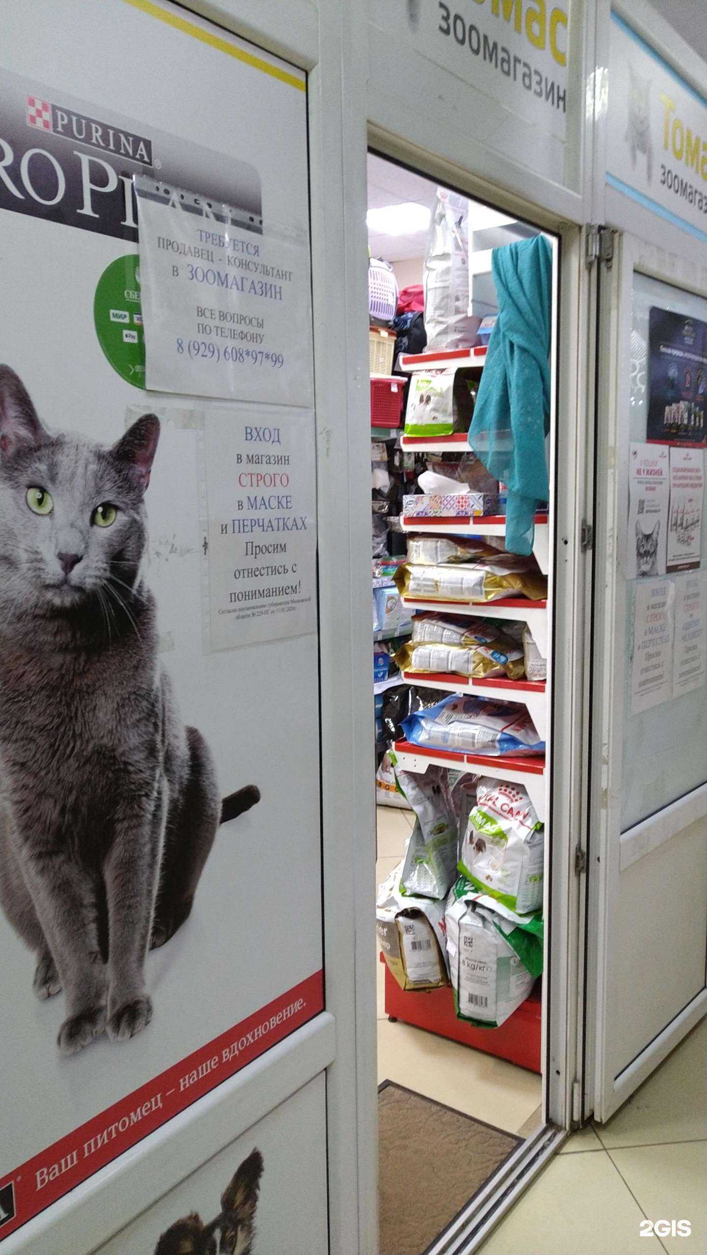 Отзывы на компанию Чистый кот в г. Балашиха c фото