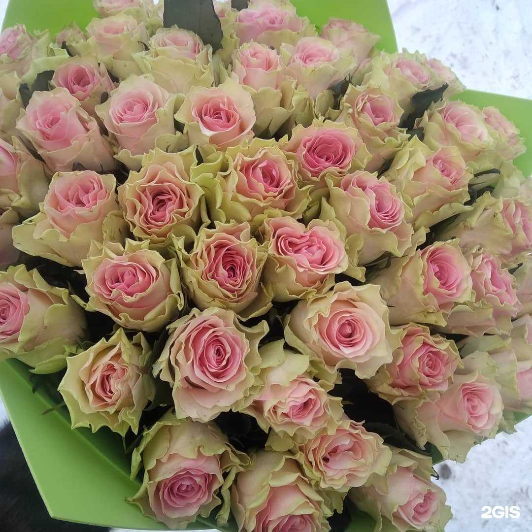 Отзывы на компанию La vanda в г. Волгоград c фото