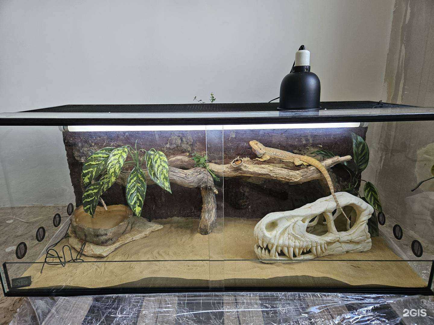 Отзывы на компанию TerraLab  в г. Саратов c фото