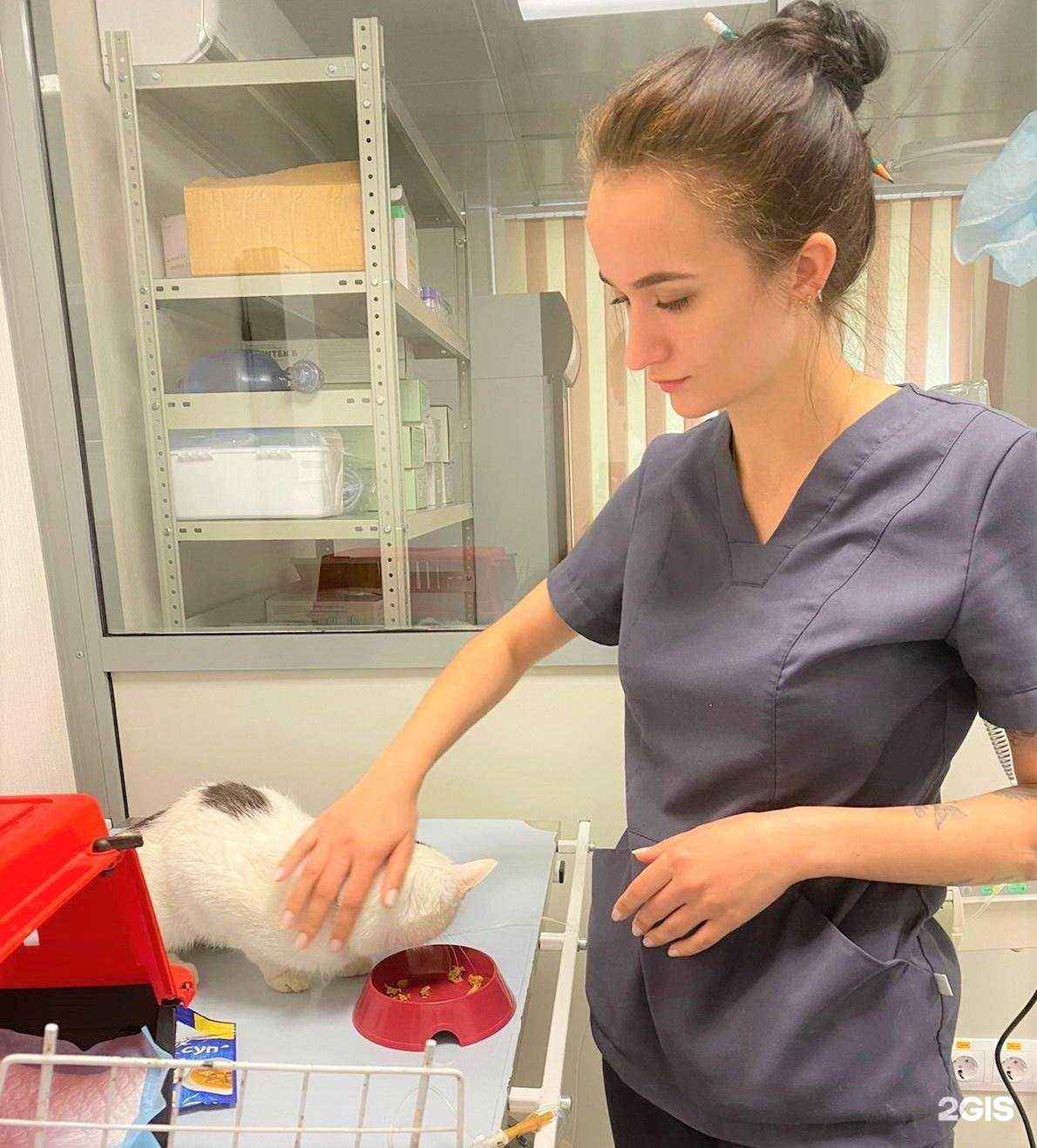 Отзывы на компанию Управление ветеринарии г. Новосибирска в Новосибирске c фото