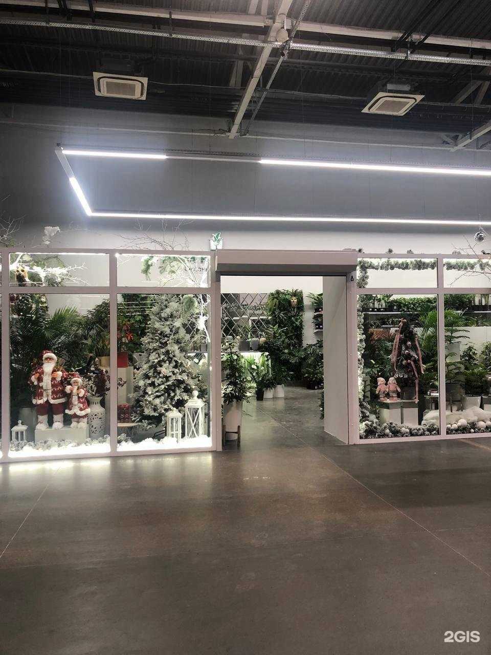 Отзывы на компанию Дом растений Оксаны Савиновой в Казани c фото