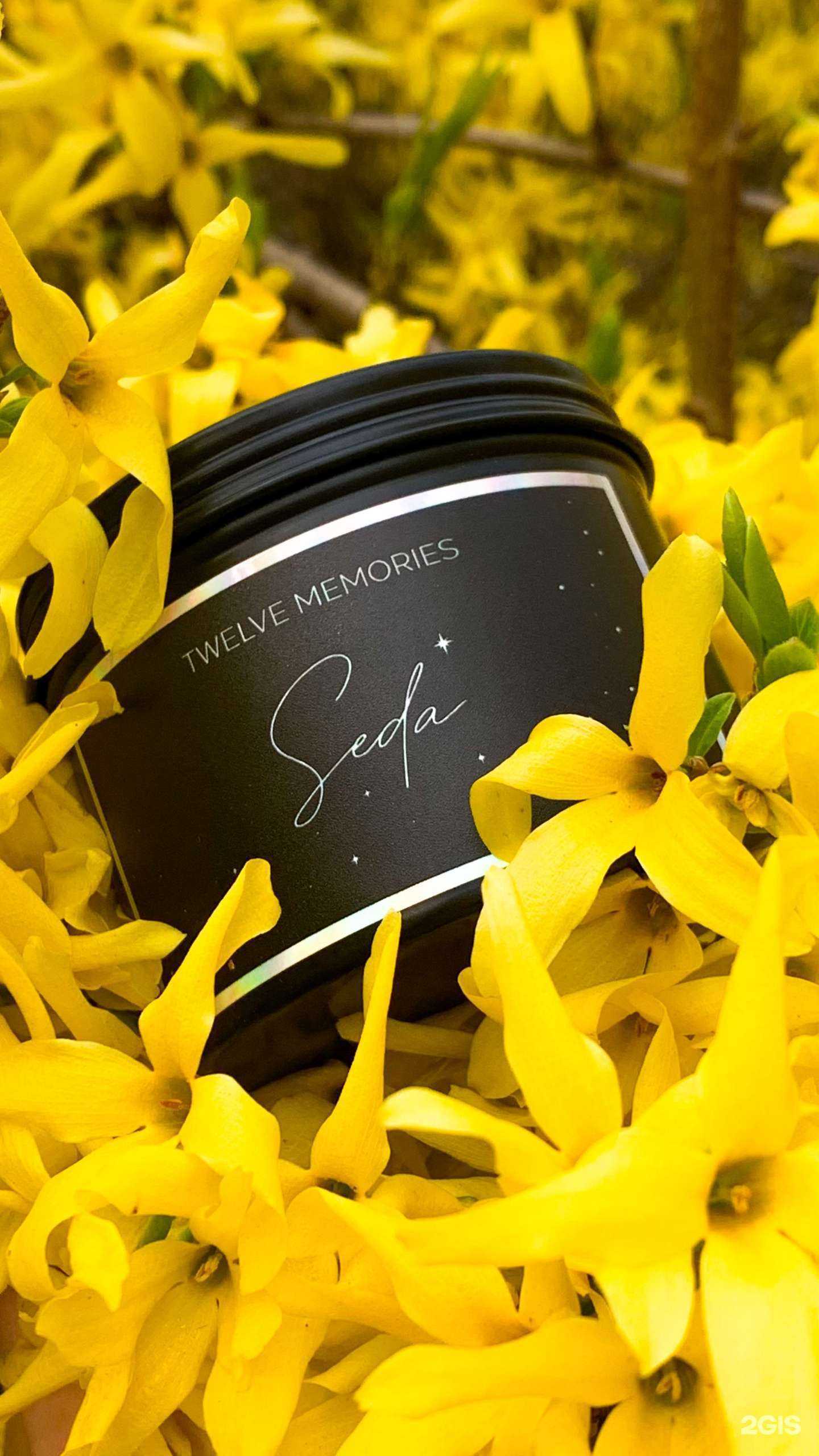 Отзывы на компанию Twelve memories в Грозном c фото