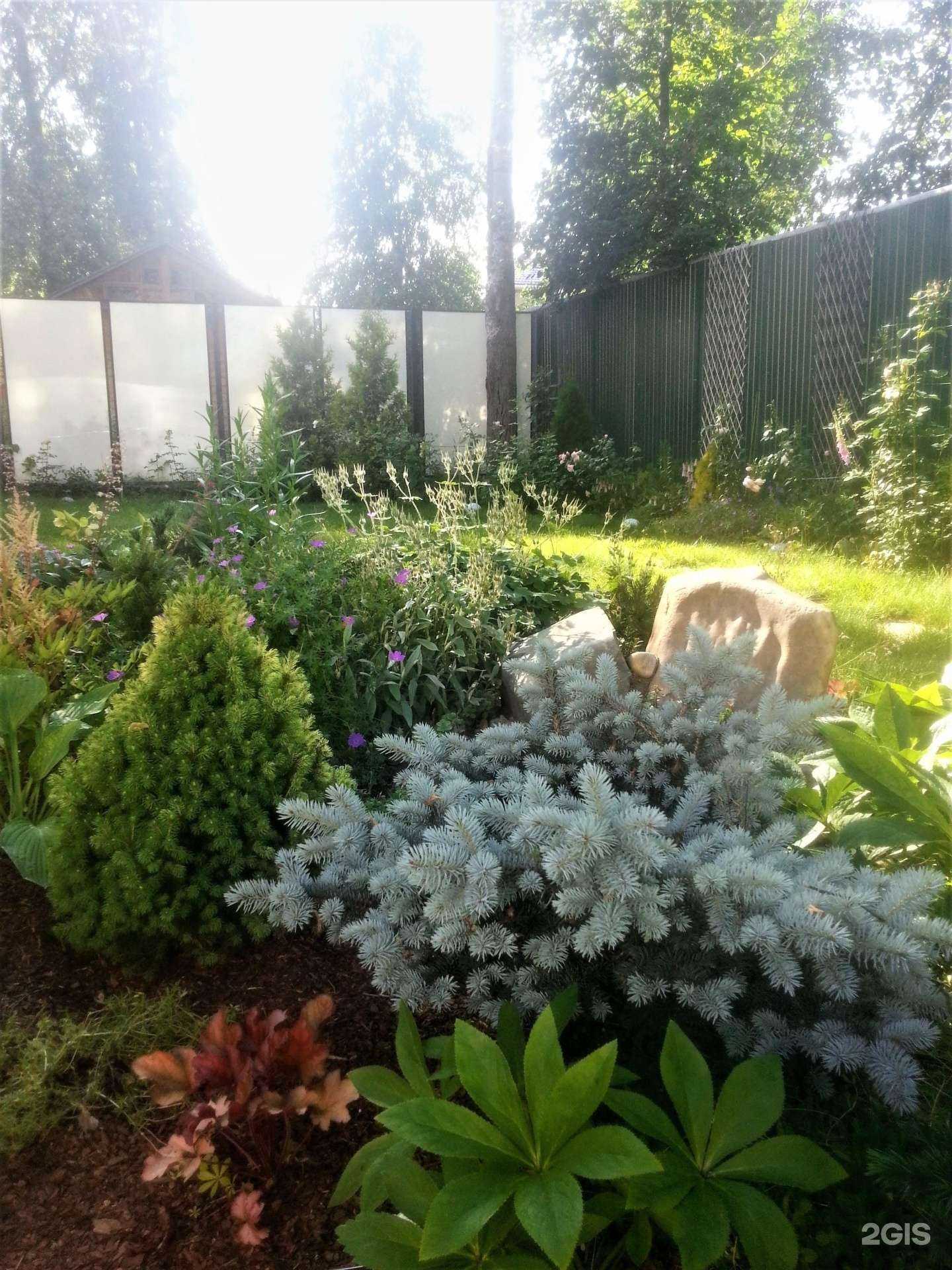 Отзывы на компанию Милена Gardens в Перми c фото