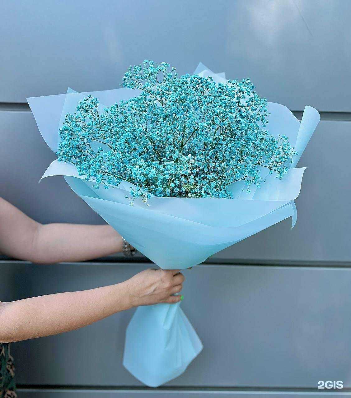 Отзывы на компанию Цветочный дворик в Саратове c фото