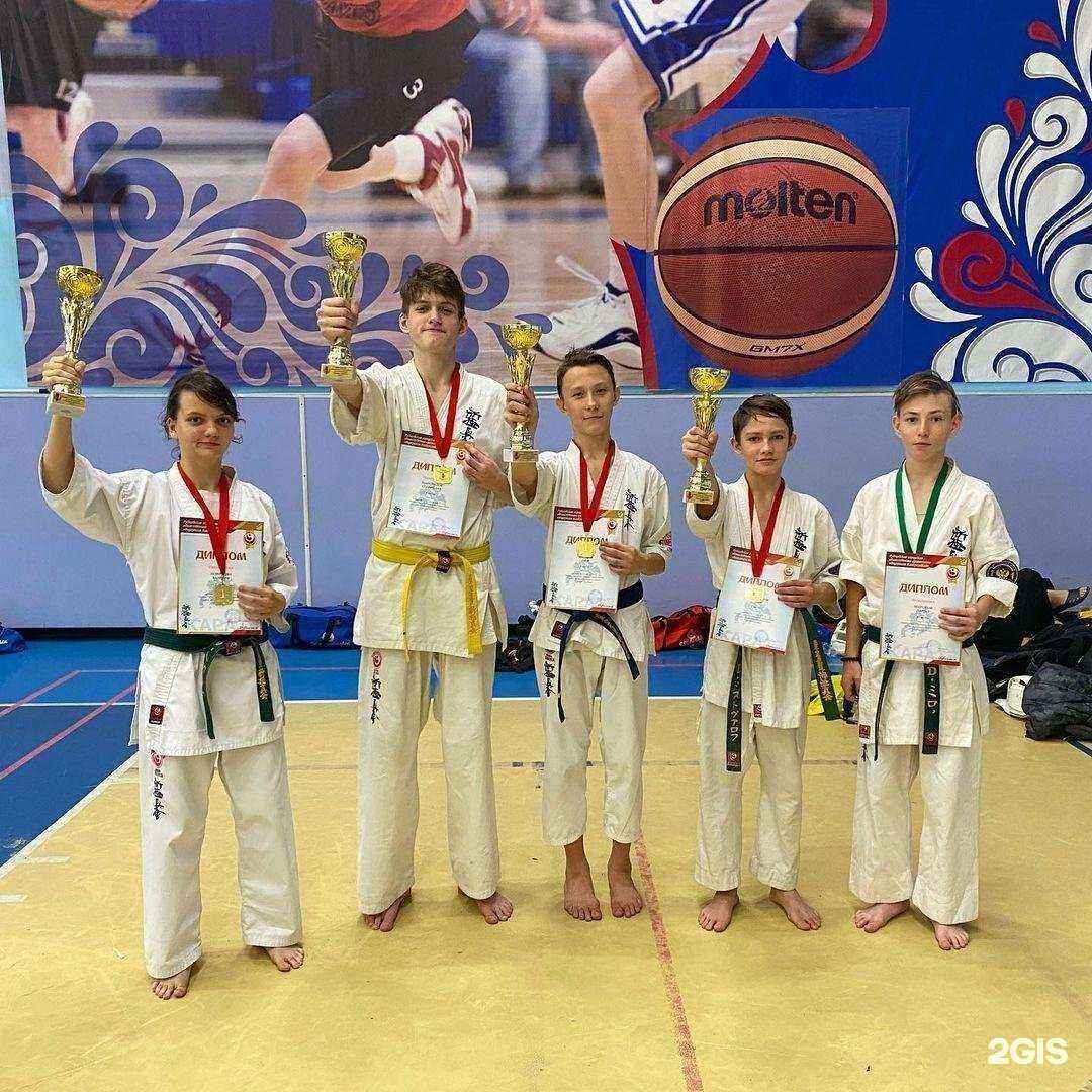 Отзывы на компанию Шин-Киокушинкай каратэ в Бийске c фото