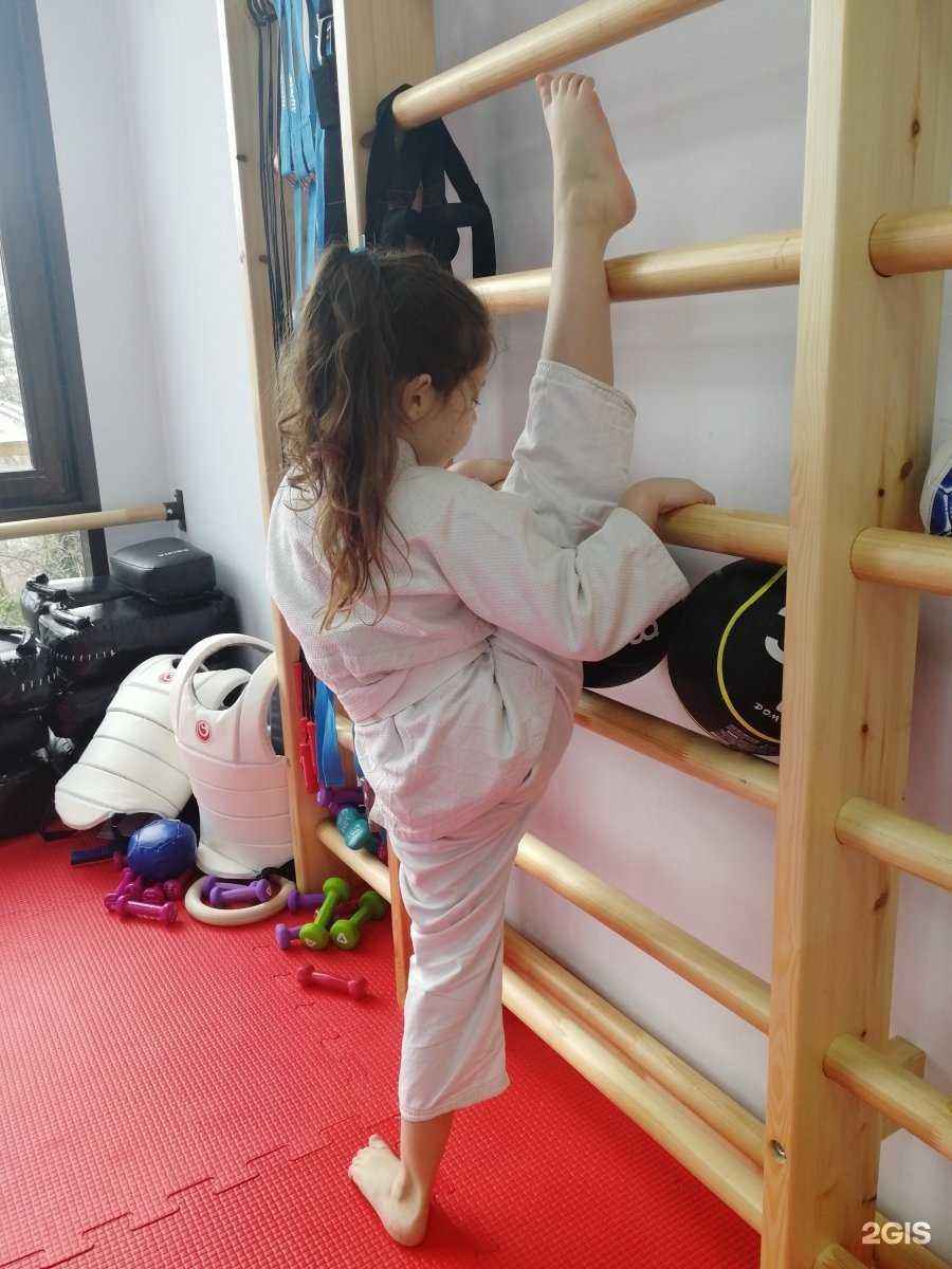 Отзывы на компанию Южная Федерация Киокусинкай каратэ в Сочи c фото