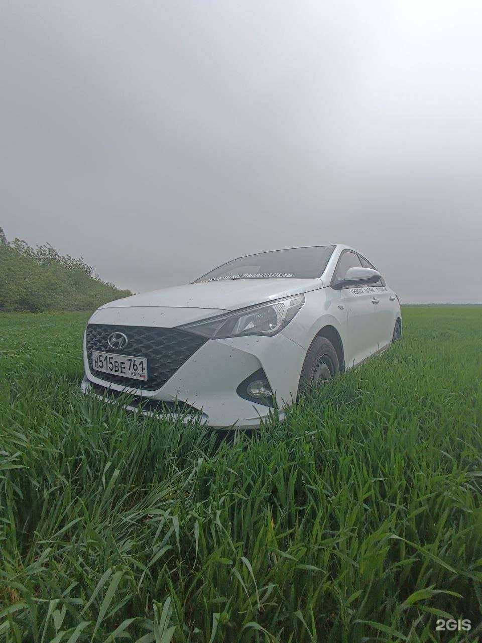 Отзывы на компанию Нескучные свои в Ростове-на-Дону c фото