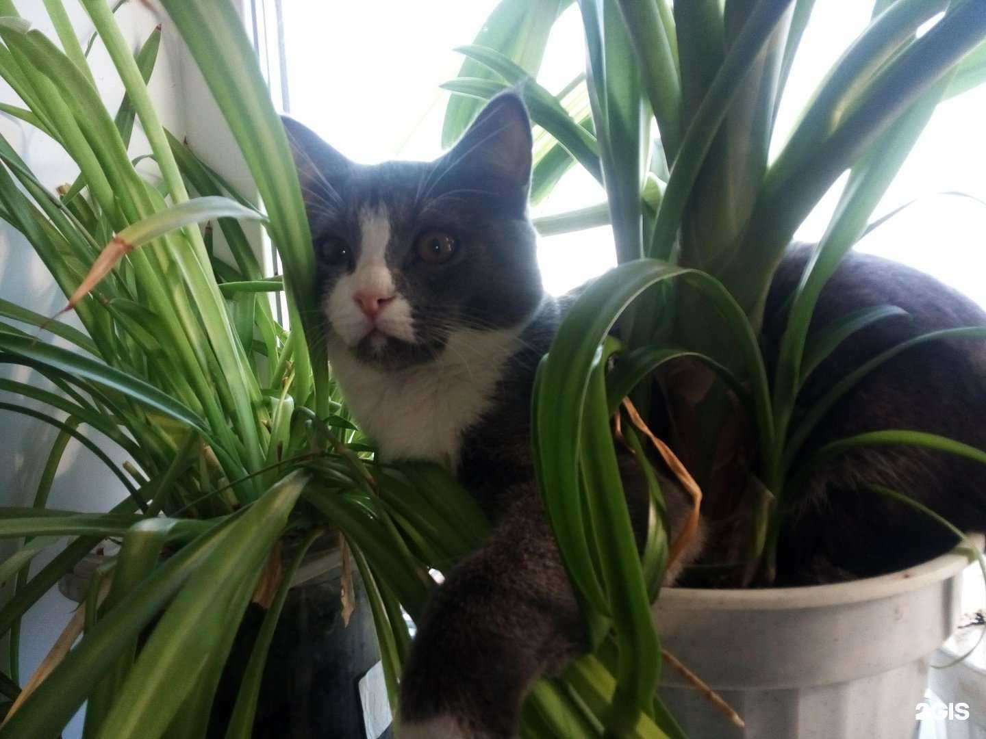 Отзывы на компанию Ирбис в Набережных Челнах c фото