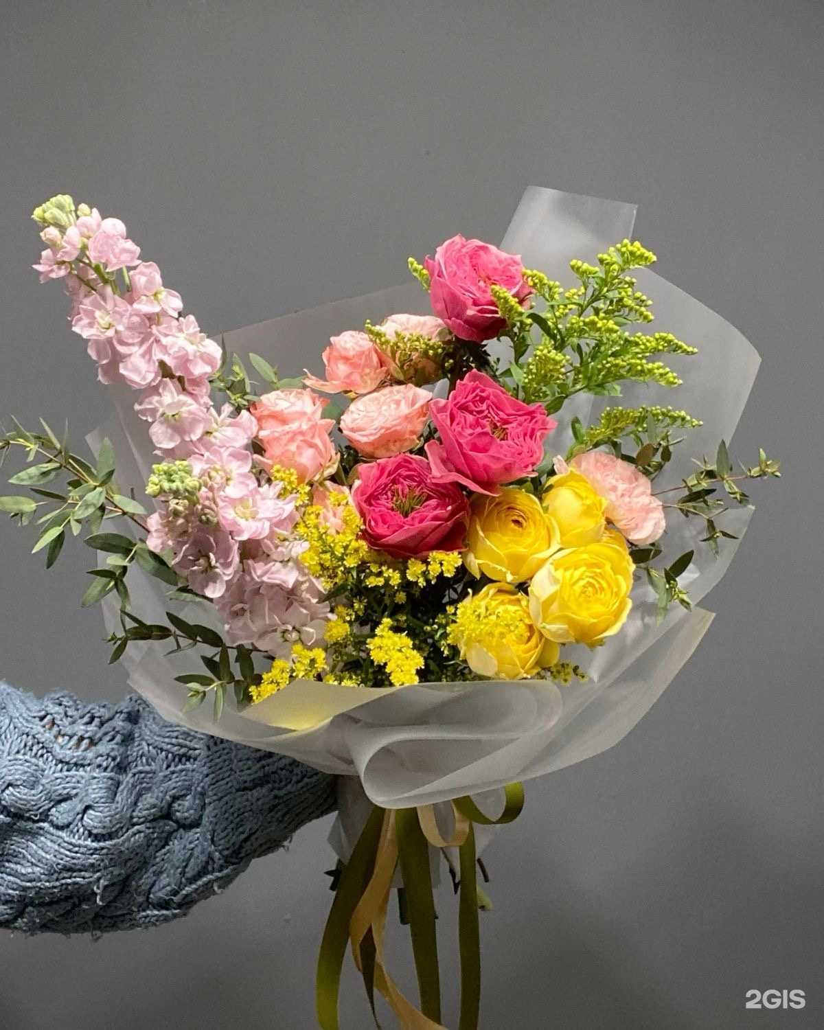 Отзывы на компанию Ветка в Астрахани c фото