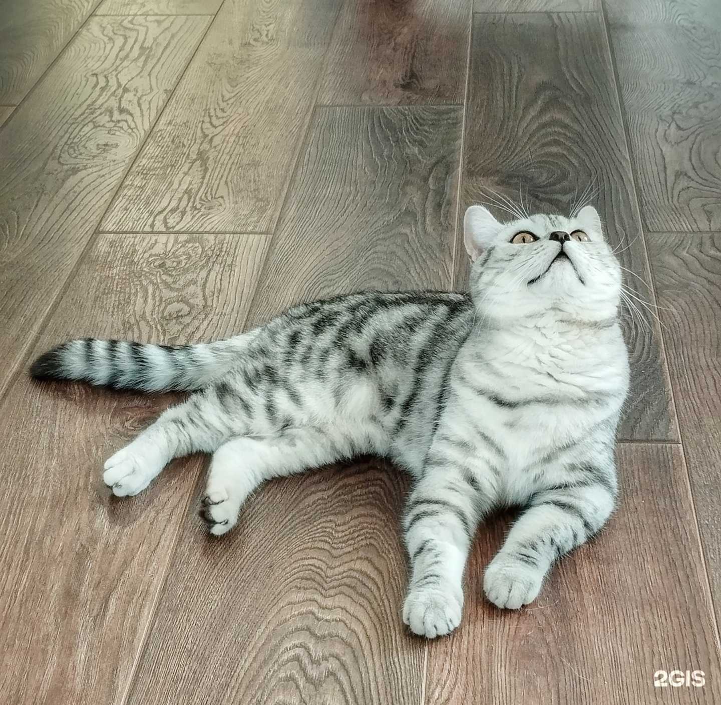 Отзывы на компанию Добрые руки в Уфе c фото