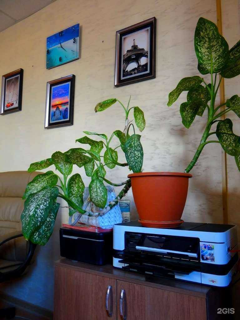 Отзывы на компанию Мир отдыха в Коломне c фото