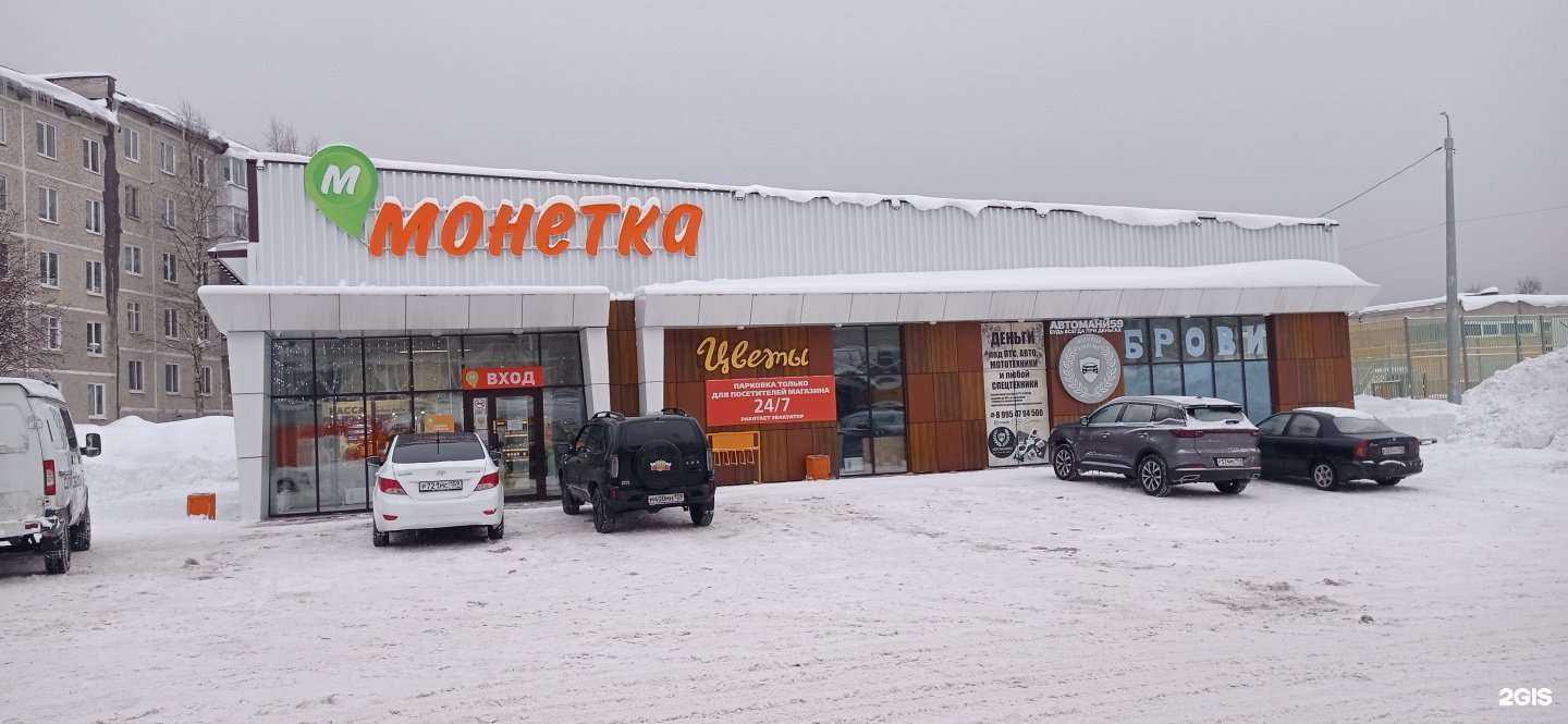 Отзывы на компанию Магазин цветов, семян и сувениров в Губахе c фото