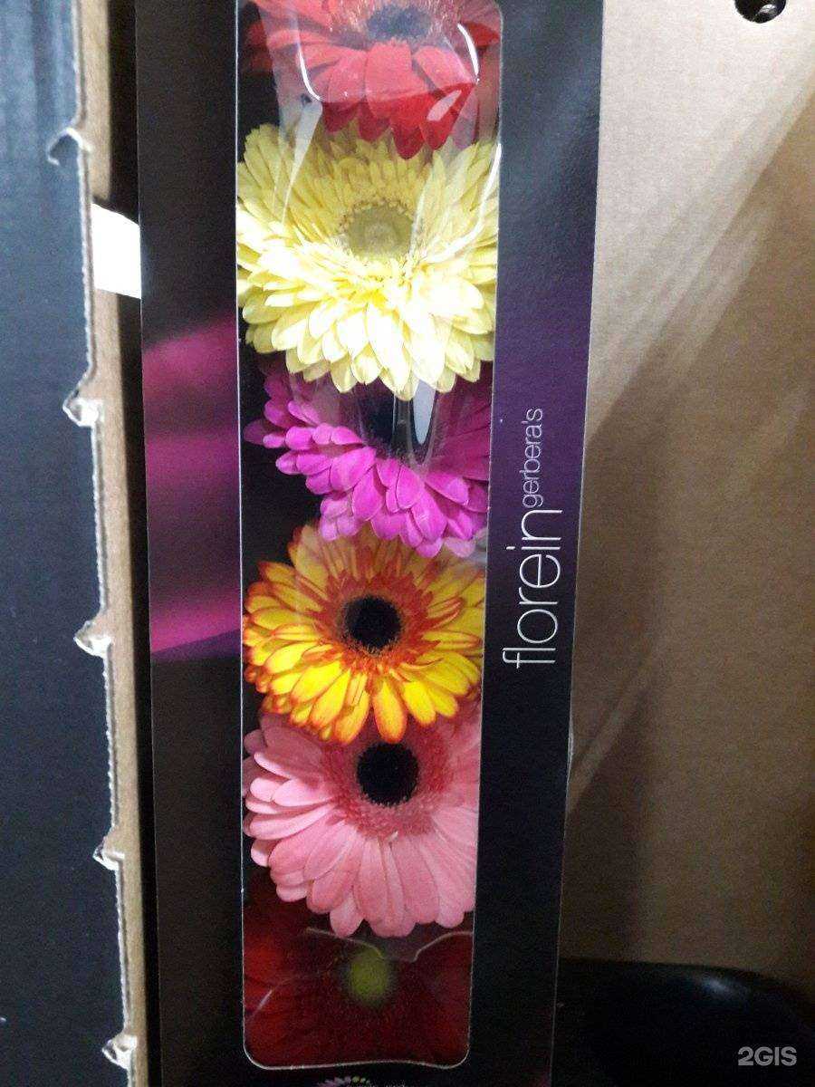 Отзывы на компанию Оптовая компания в Рязани c фото