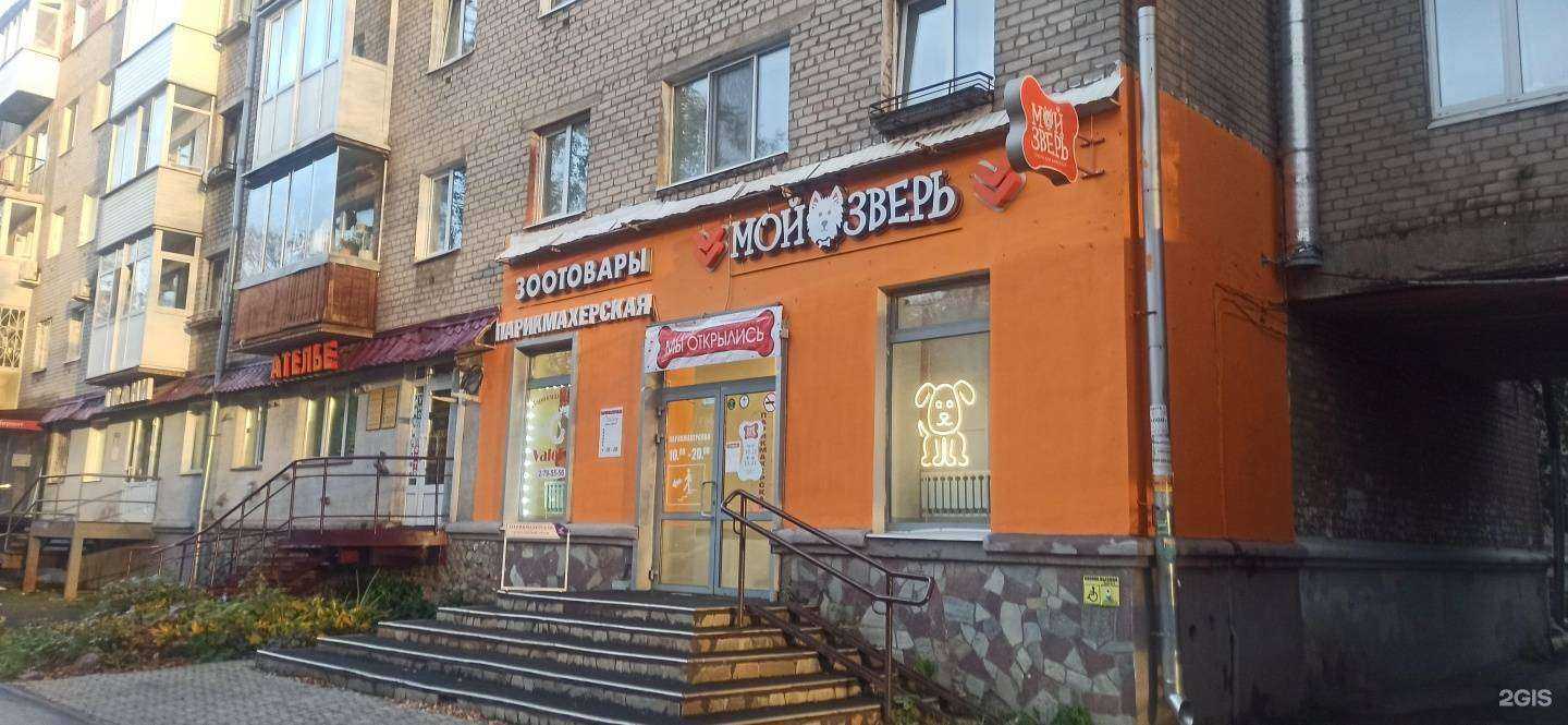 Отзывы на компанию Мой зверь в Перми c фото