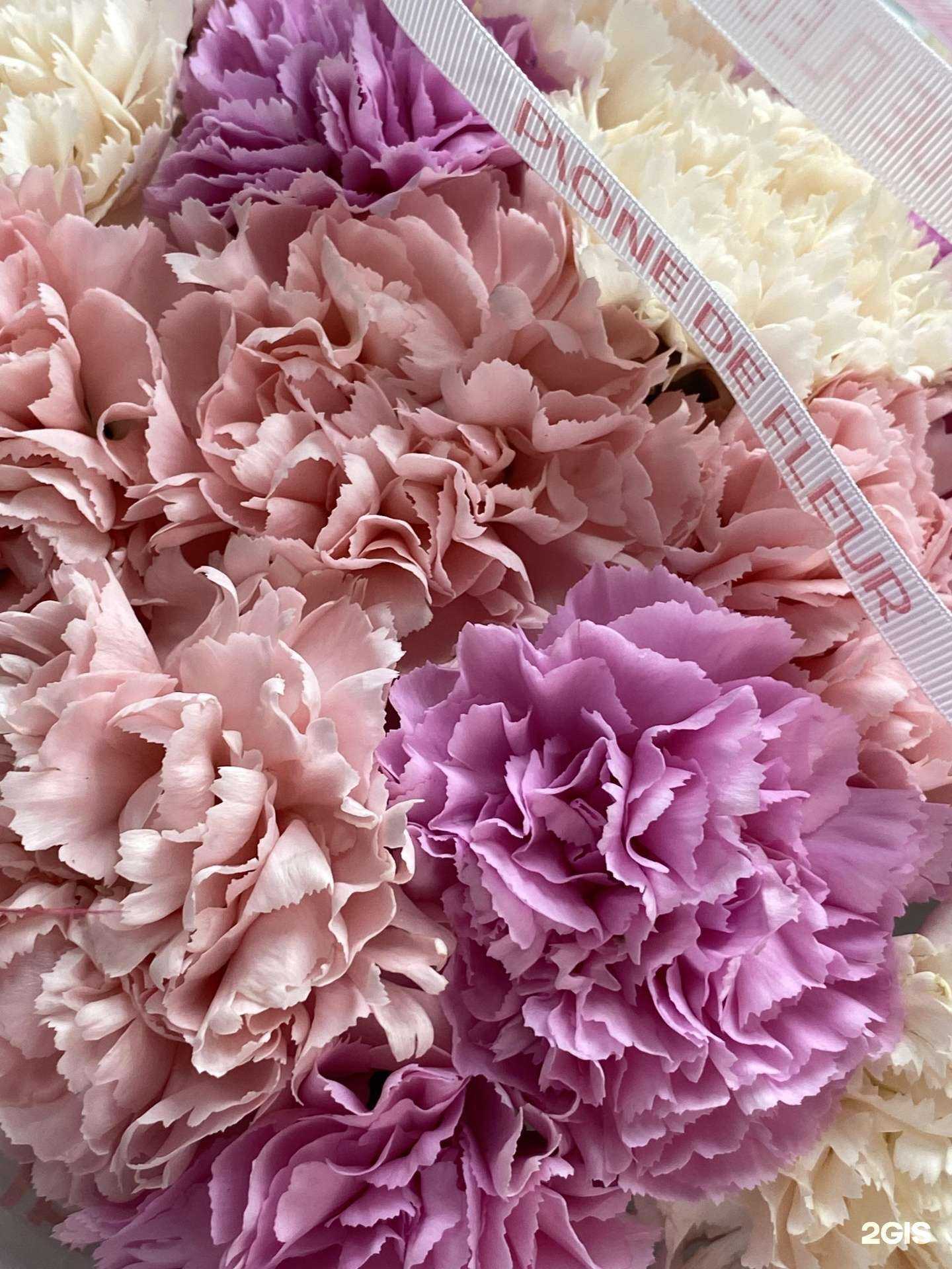 Отзывы на компанию Pione de Fleur в Новосибирске c фото