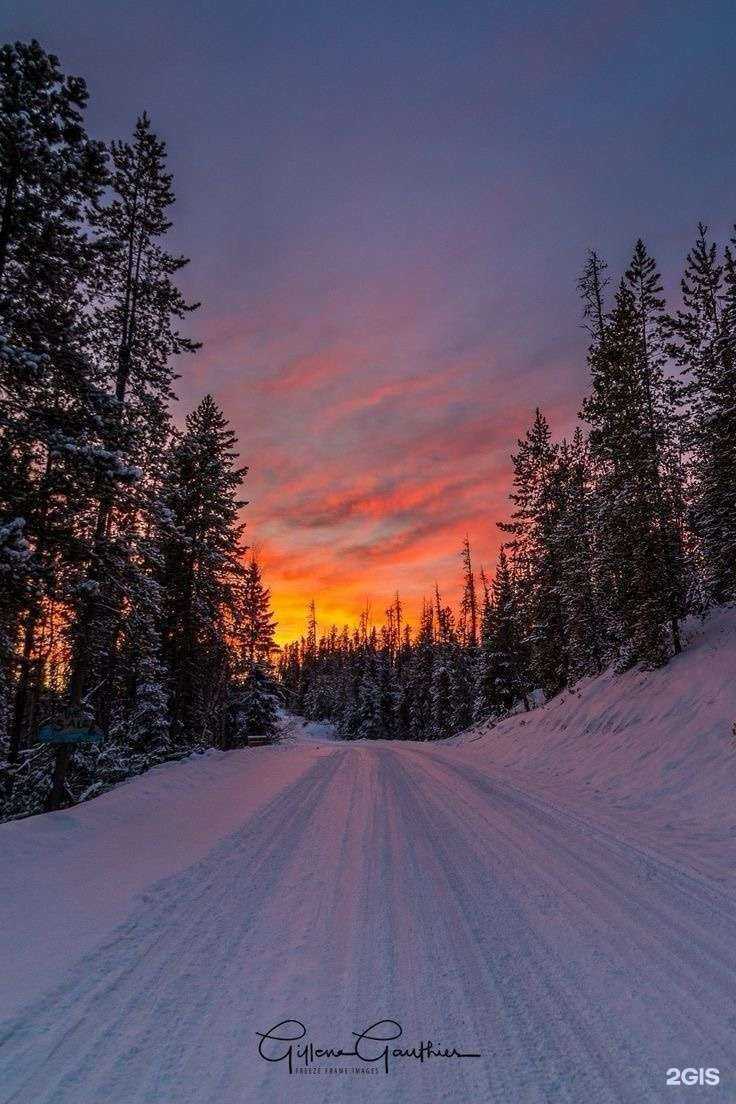Отзывы на компанию Витязь, мебельный салон в Железногорске c фото - фотография 2 из 2