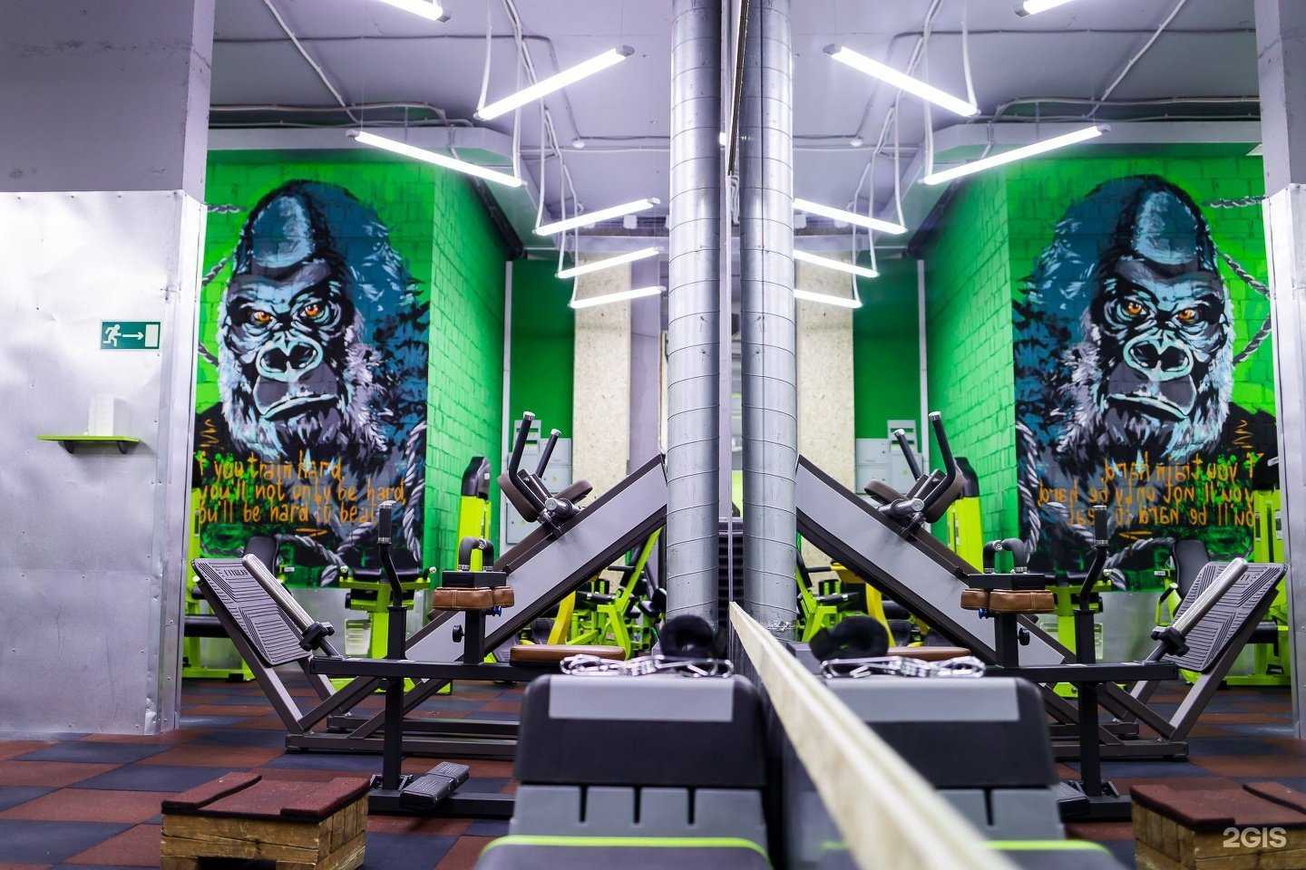 Отзывы на компанию Green gorillaz в г. Кемерово c фото