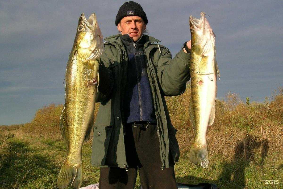 Отзывы на компанию Федерация подводного спорта Рязанской области в Рязани c фото