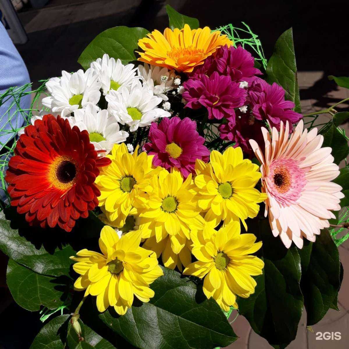 Отзывы на компанию Цветы у метро в Нижнем Новгороде c фото