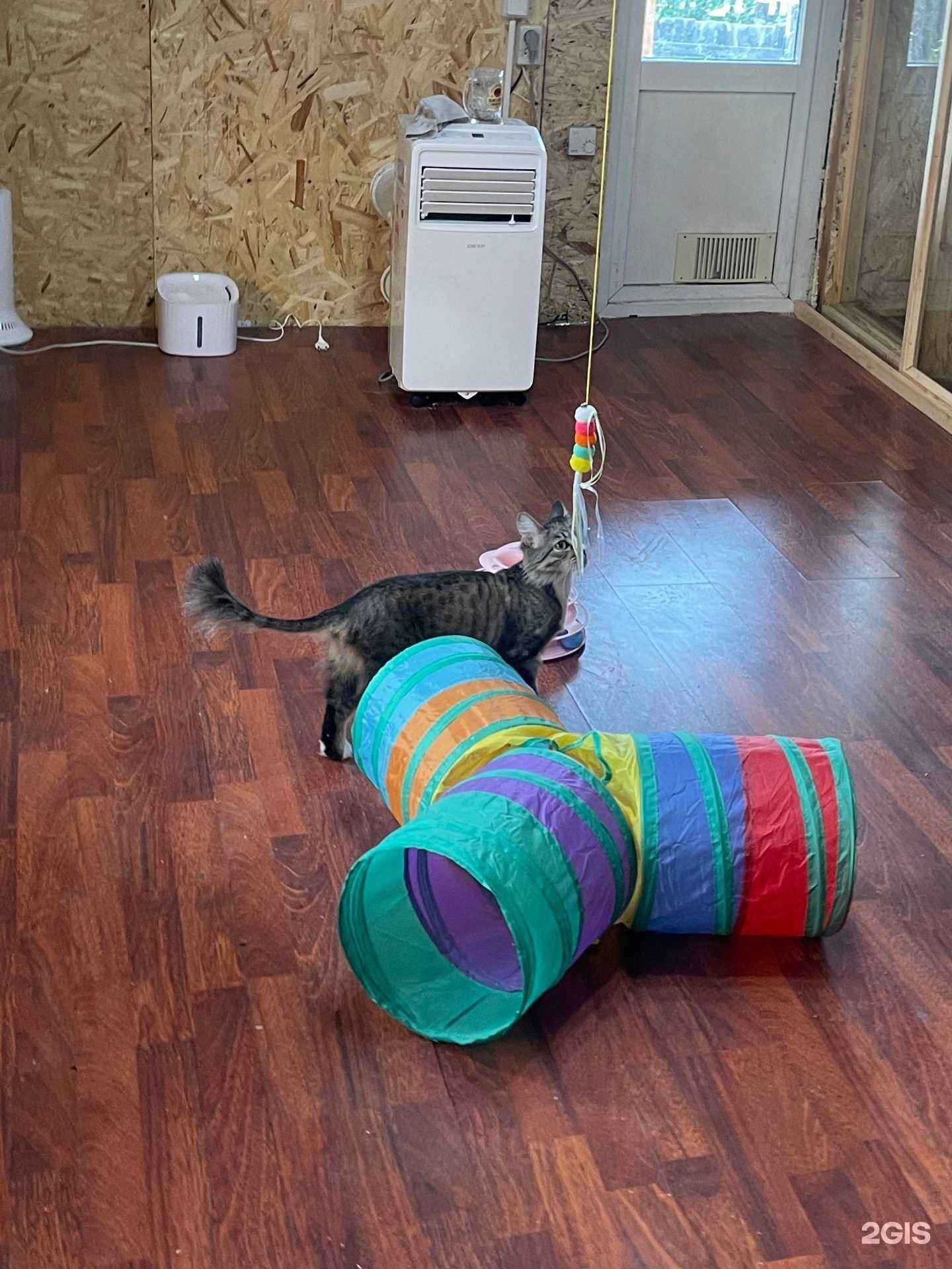 Отзывы на компанию Каникулы у Бэгги в Чите c фото