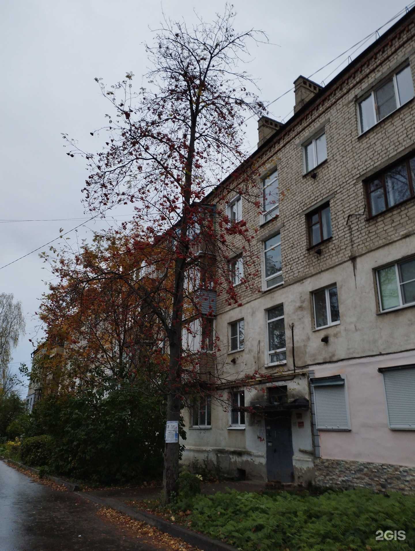 Отзывы на компанию Big Bro Shaurma в Кстове c фото - фотография 2 из 2