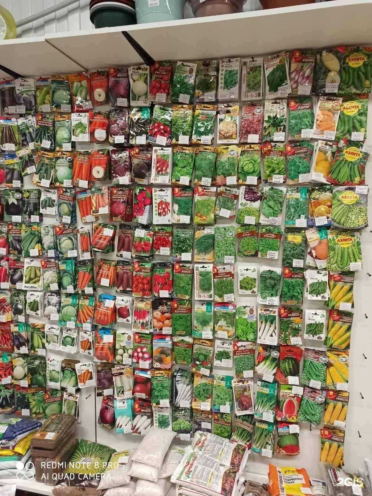 Отзывы на компанию Гудвин в Тольятти c фото