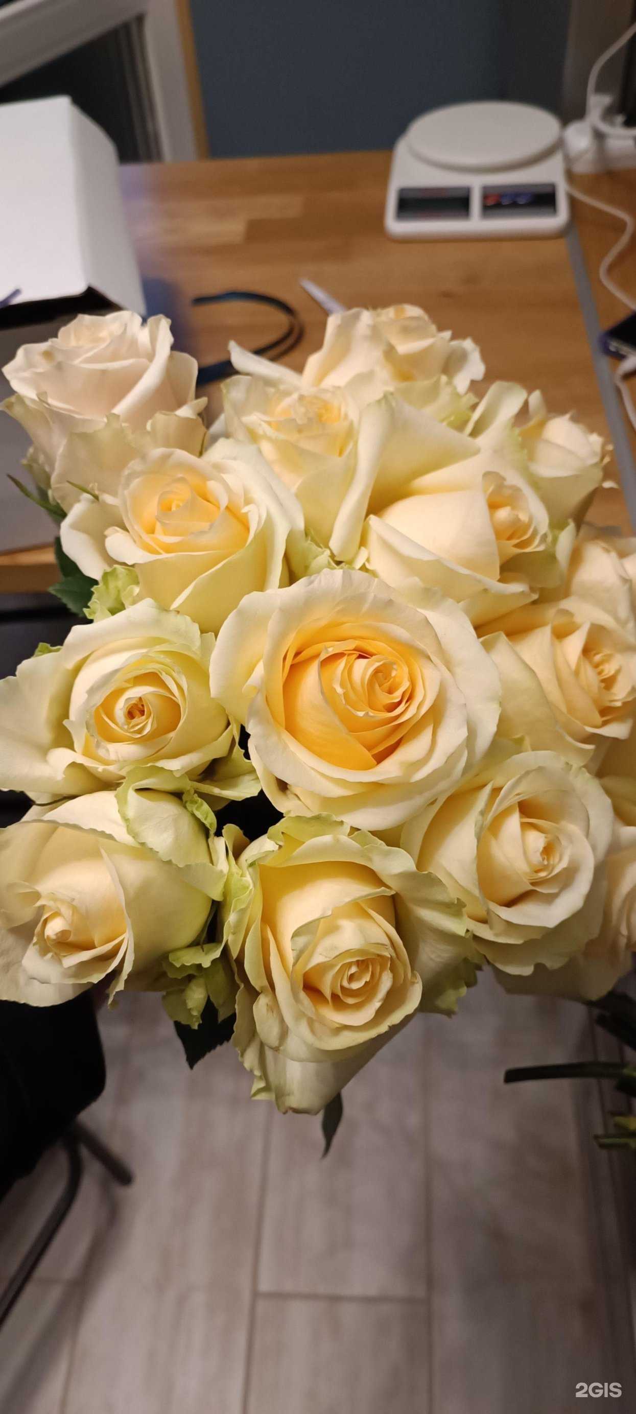 Отзывы на компанию Pavlin в г. Краснодар c фото