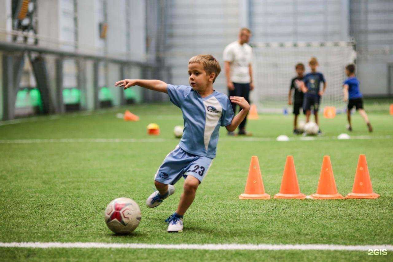 Отзывы на компанию Siberian Bears в Новосибирске c фото