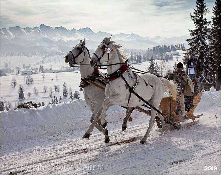 Отзывы на компанию Восток-Запад в г. Новосибирск c фото
