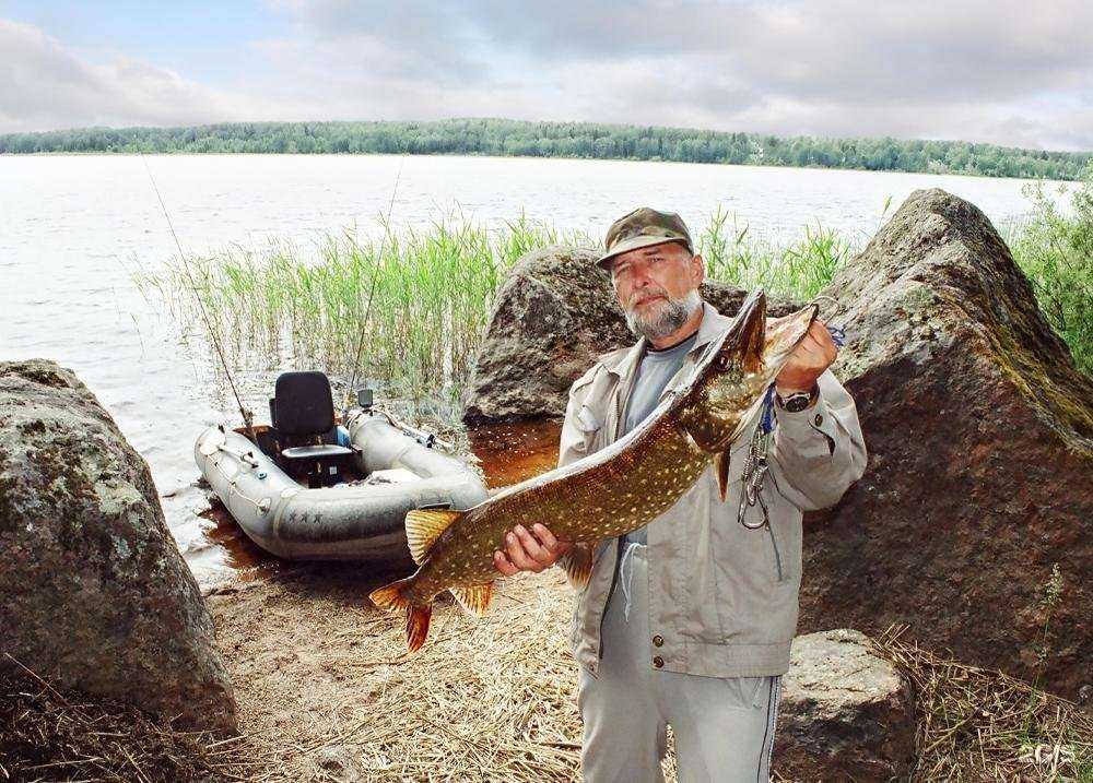 Отзывы на компанию FORTMEN в Рудне c фото