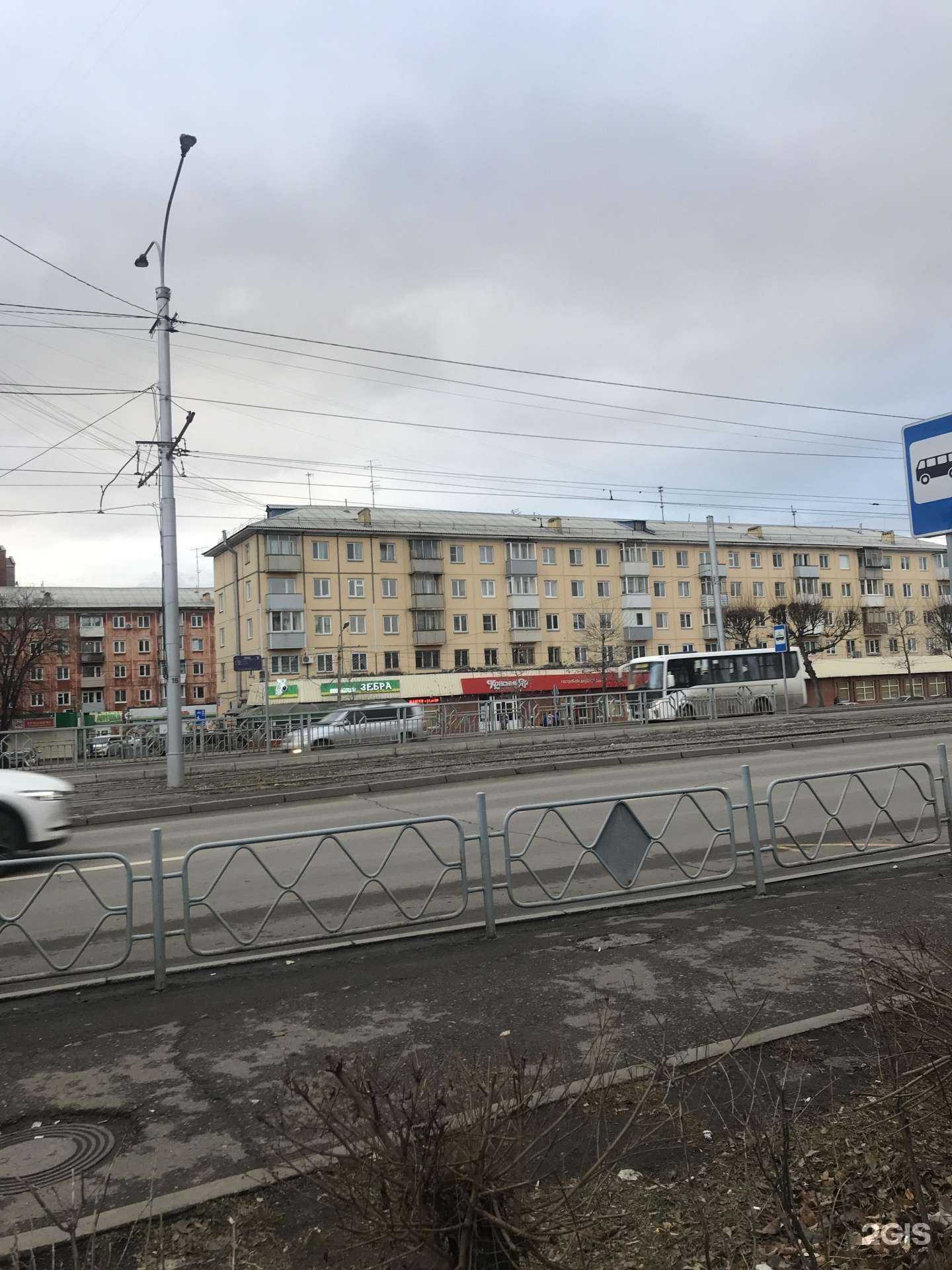 Отзывы на компанию Животный мир в Красноярске c фото - фотография 2 из 2