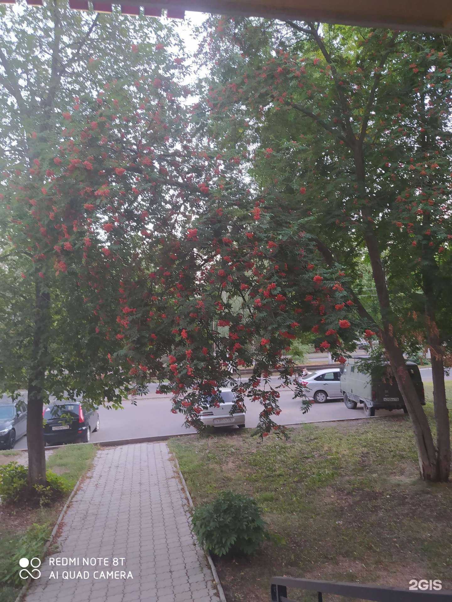 Отзывы на компанию A.M в г. Нижнекамск c фото