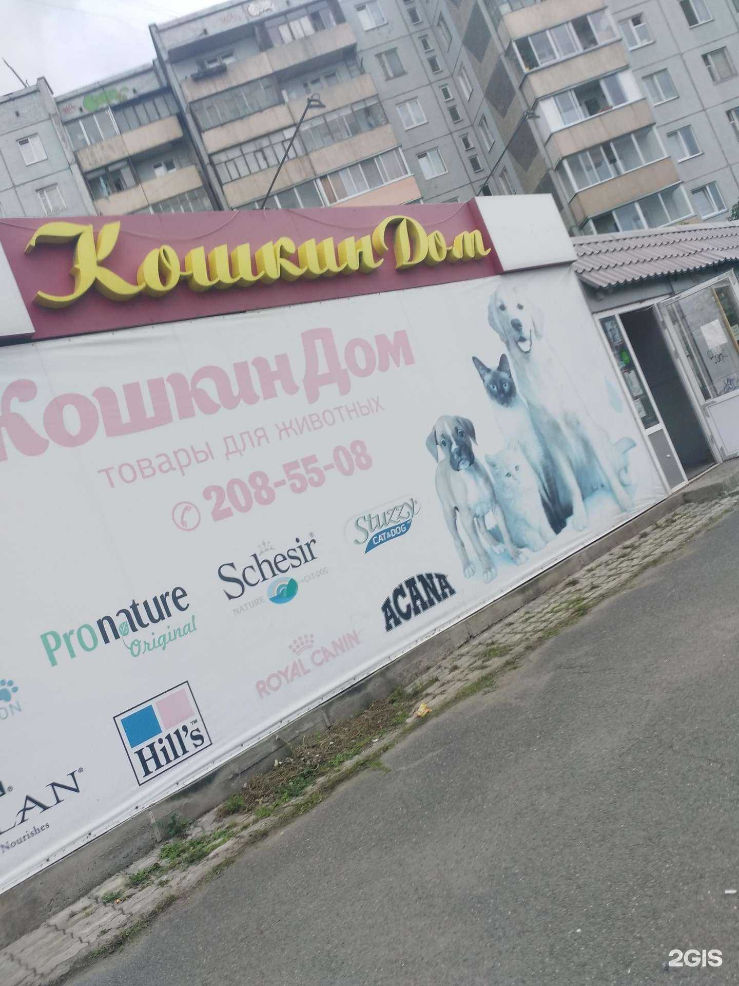 Отзывы на компанию Кошкин дом в Красноярске c фото