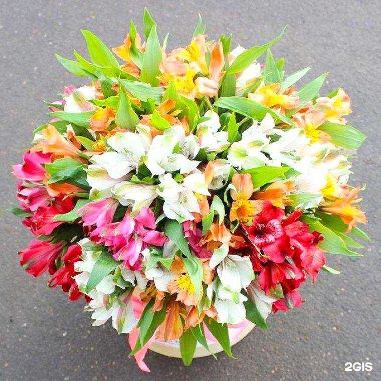 Отзывы на компанию Магазин цветов в Калуге c фото