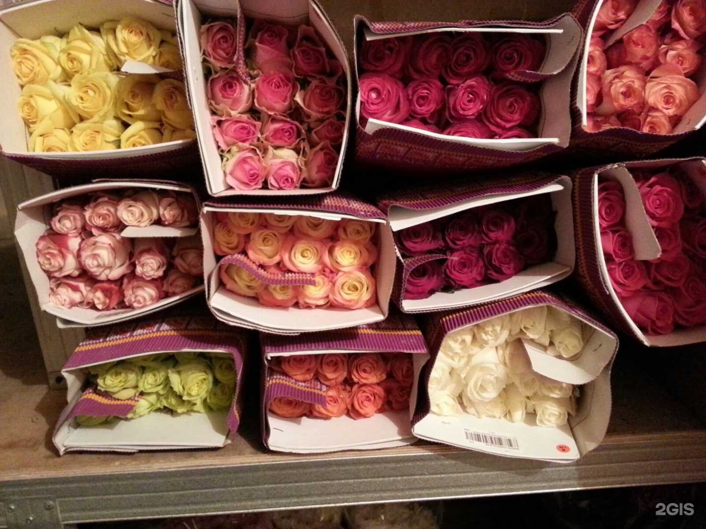 Отзывы на компанию Эль Флор в Находке c фото