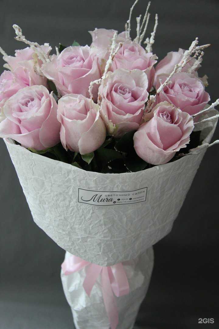 Отзывы на компанию Мича в Сыктывкаре c фото