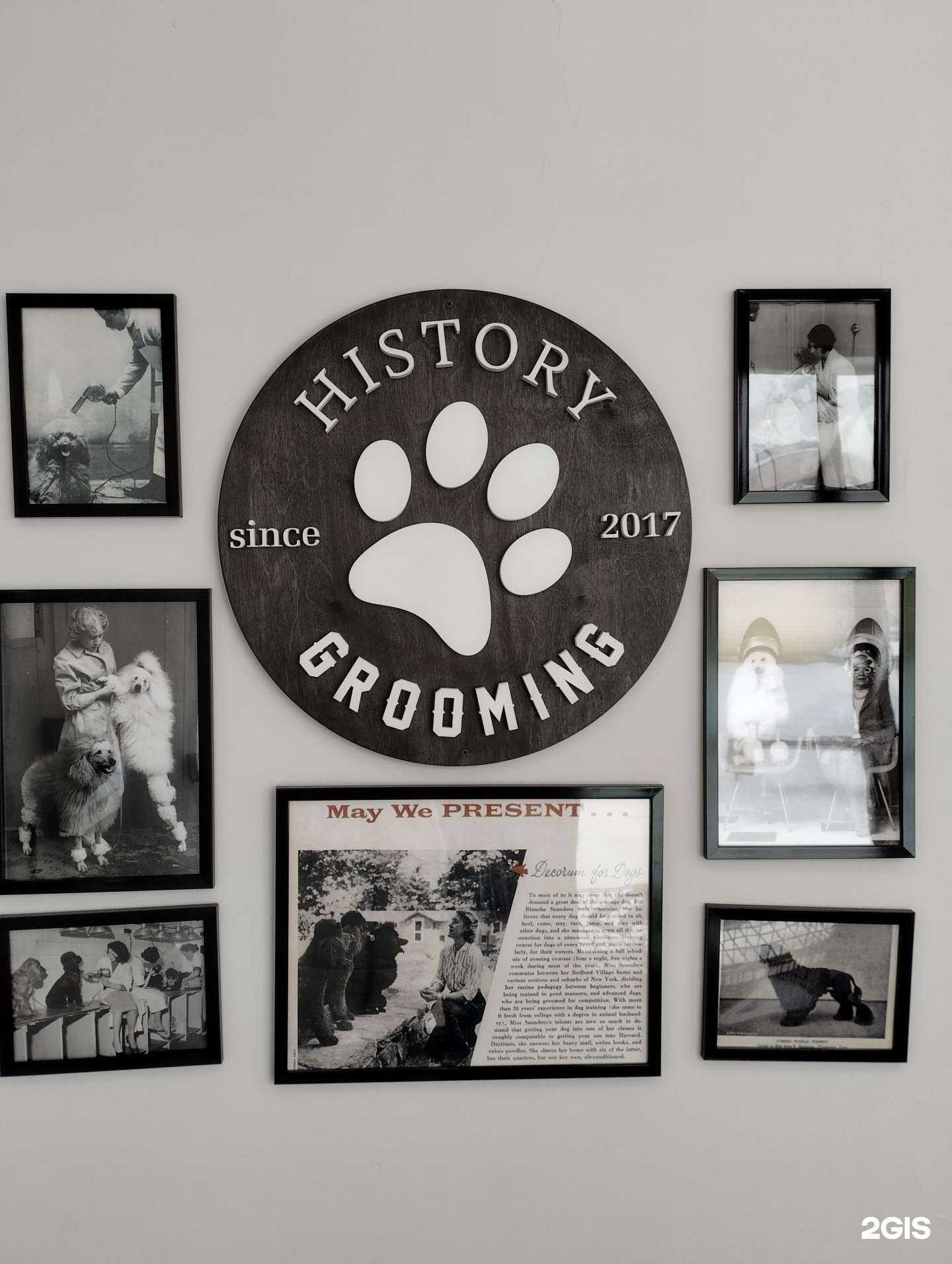 Отзывы на компанию History grooming в Волгограде c фото