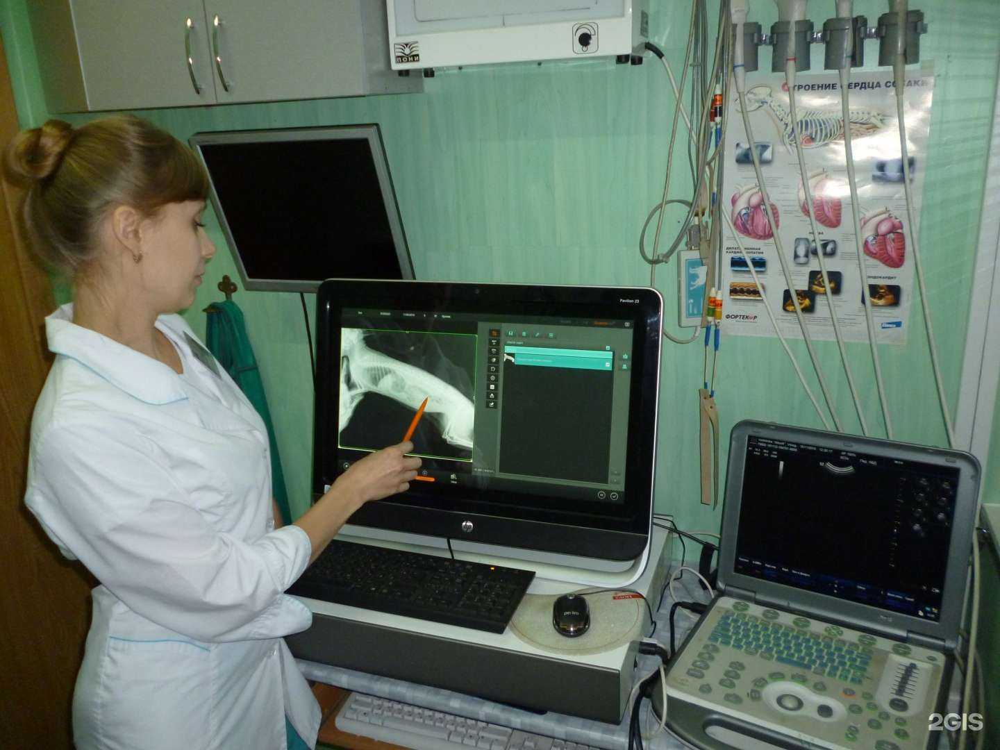 Отзывы на компанию Айболит в г. Вологда c фото