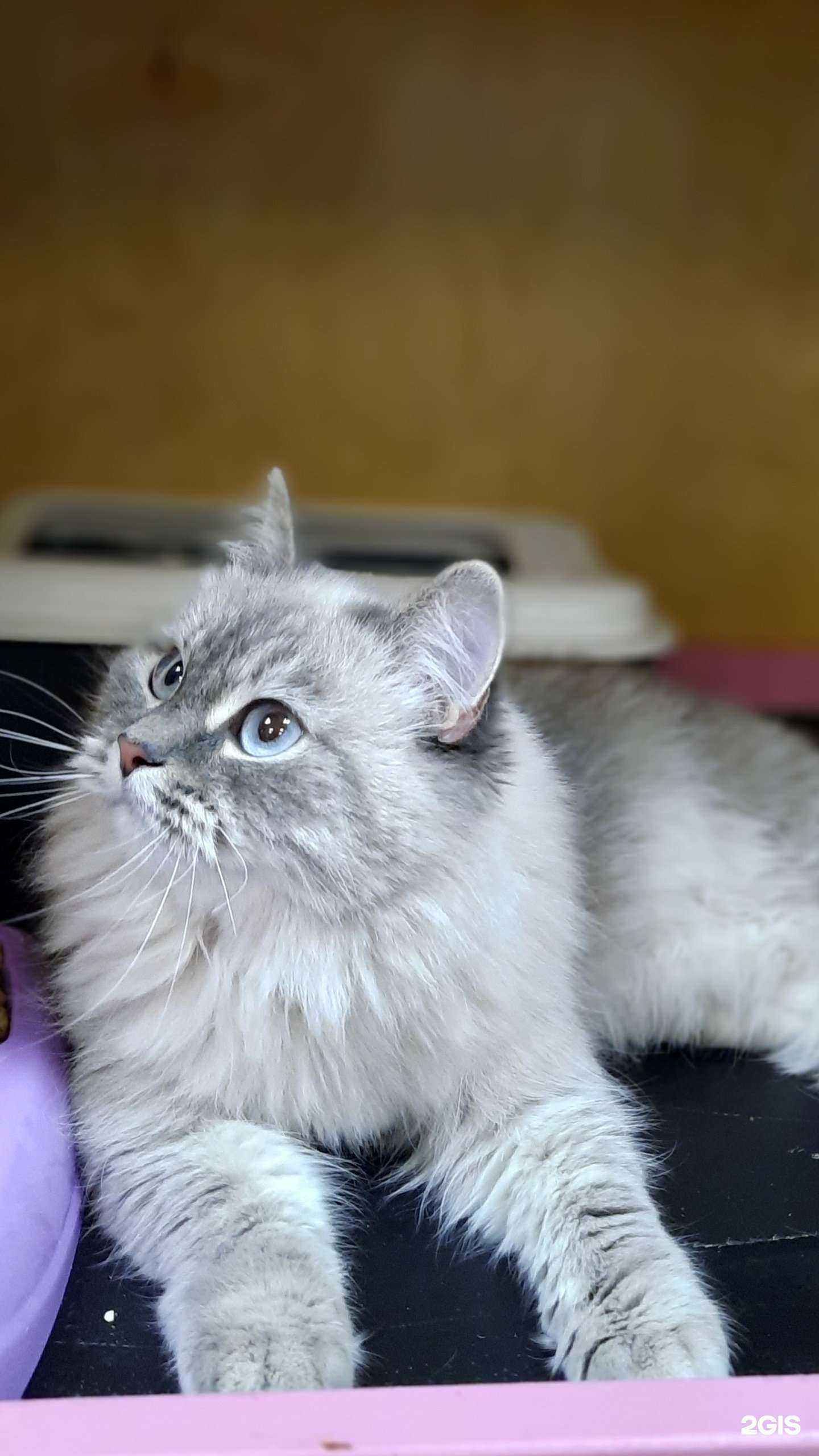 Отзывы на компанию Мир, животные и растения в г. Тюмень c фото