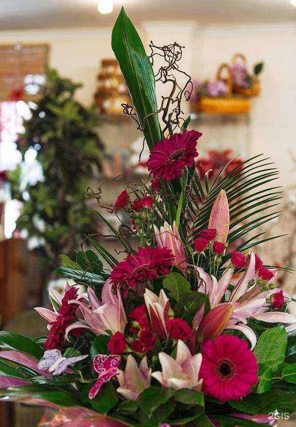 Отзывы на компанию Оазис в Чите c фото