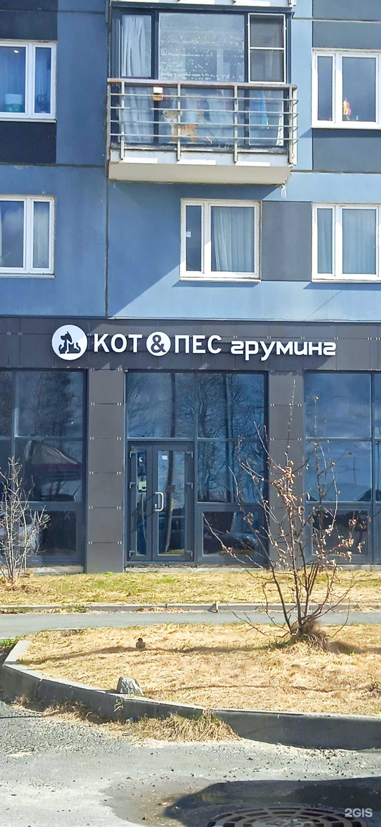 Отзывы на компанию Кот&Пес в Петрозаводске c фото