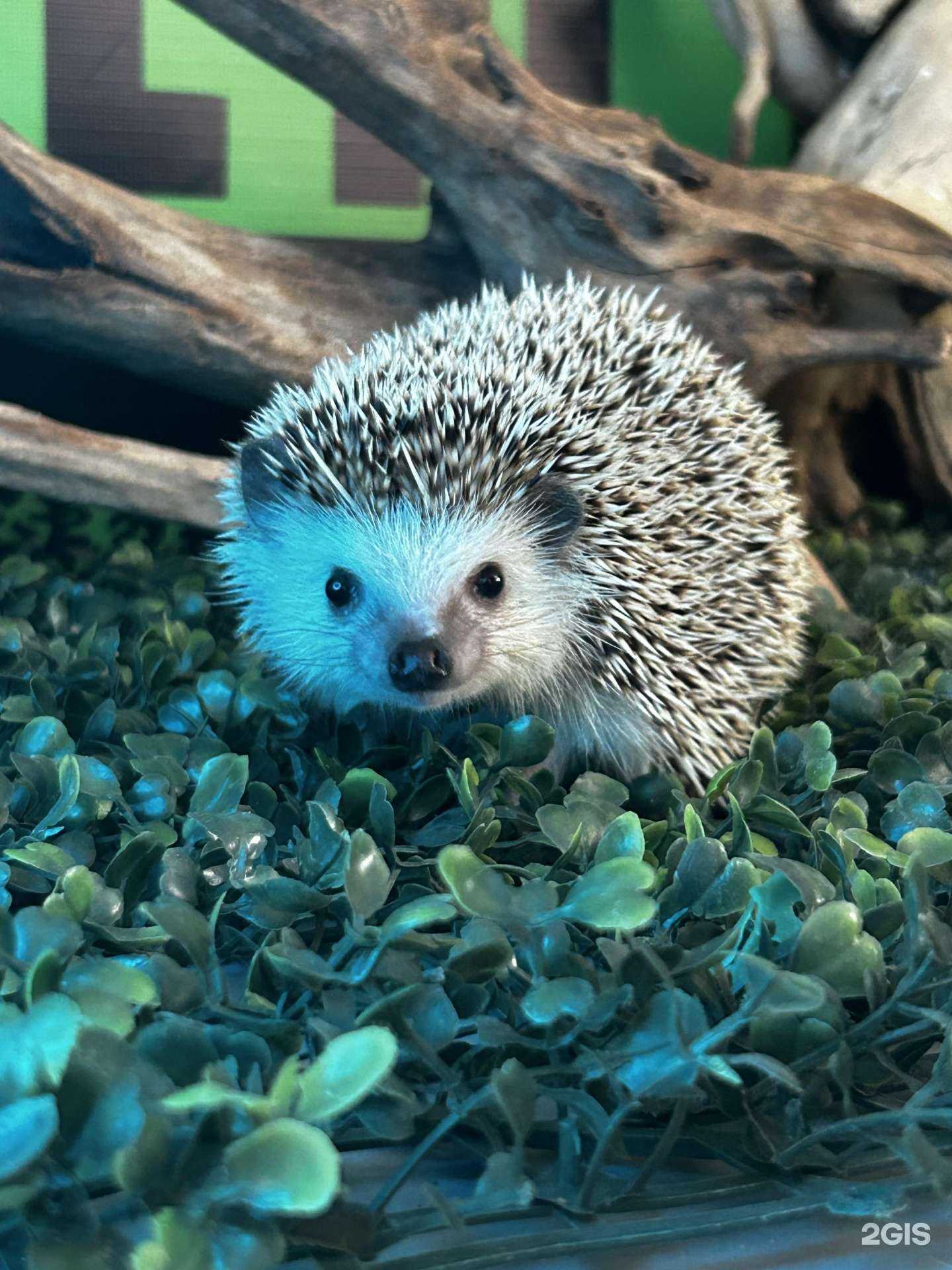 Отзывы на компанию Exotic Life в Уфе c фото